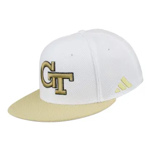 Georgia Tech Yellow Jackets Two-Tone Primary Logo M/L Hat